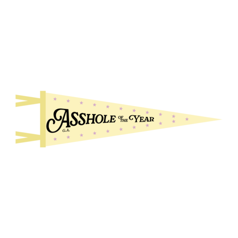 Asshole of the Year by Gracie Abrams - Pennant Flag - shop now at Digster store