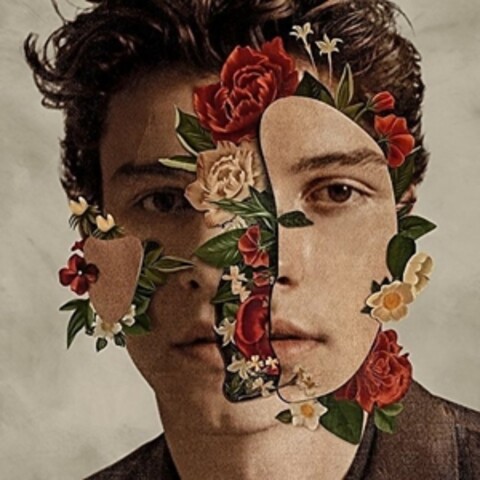 Shawn Mendes (Deluxe) by Shawn Mendes - CD - shop now at Digster store