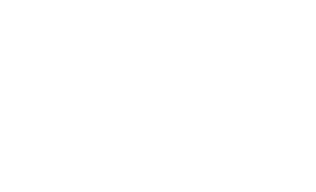 Digster